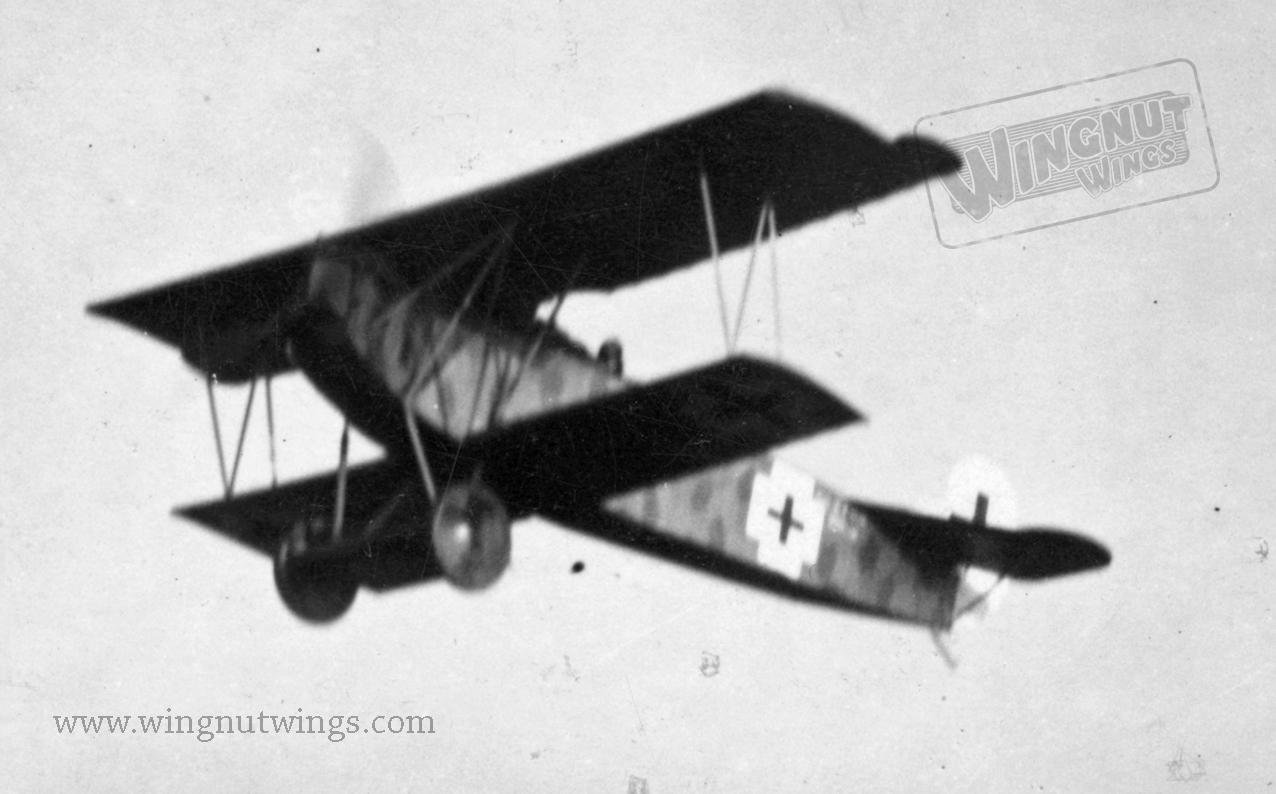 Wingnut Wings - 1/32 Fokker D.VII (OAW)